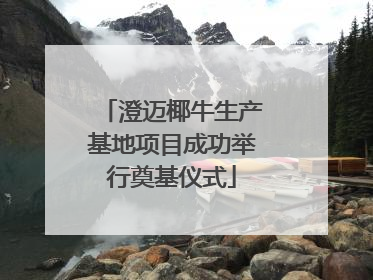 澄迈椰牛生产基地项目成功举行奠基仪式
