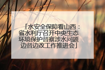 水安全保障看山西：省水利厅召开中央生态环境保护督察涉水问题边督边改工作推进会