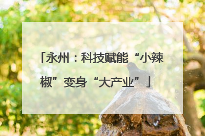 永州：科技赋能“小辣椒”变身“大产业”