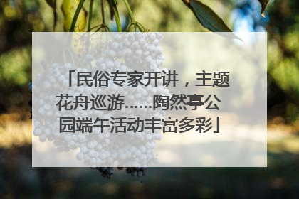 民俗专家开讲，主题花舟巡游……陶然亭公园端午活动丰富多彩