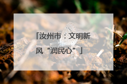 汝州市：文明新风“润民心”