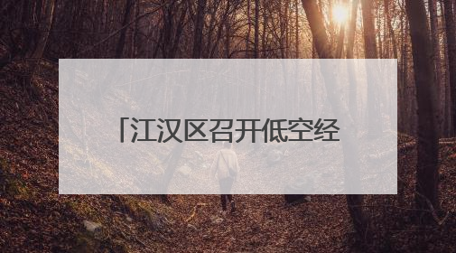 江汉区召开低空经济发展座谈会 共商产业发展新路径