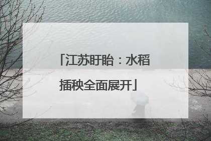 江苏盱眙：水稻插秧全面展开