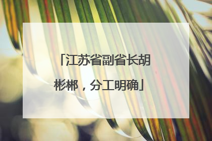 江苏省副省长胡彬郴，分工明确