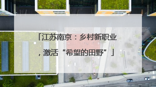 江苏南京：乡村新职业，激活“希望的田野”