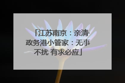 江苏南京：亲清·政务港小管家：无事不扰 有求必应