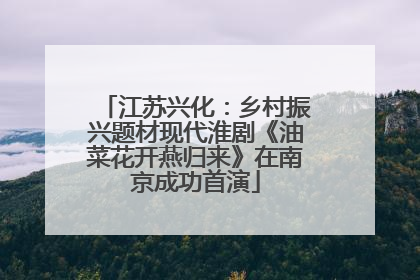 江苏兴化：乡村振兴题材现代淮剧《油菜花开燕归来》在南京成功首演