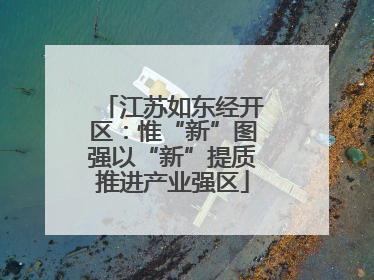 江苏如东经开区：惟“新”图强以“新”提质推进产业强区