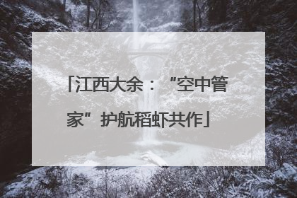 江西大余：“空中管家”护航稻虾共作