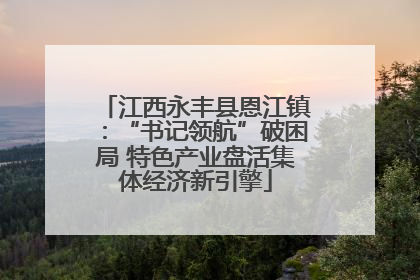 江西永丰县恩江镇：“书记领航”破困局 特色产业盘活集体经济新引擎