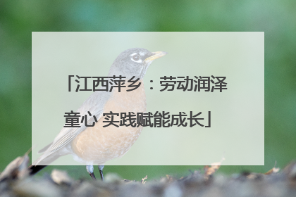 江西萍乡：劳动润泽童心 实践赋能成长