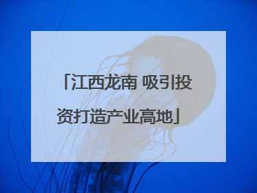江西龙南 吸引投资打造产业高地