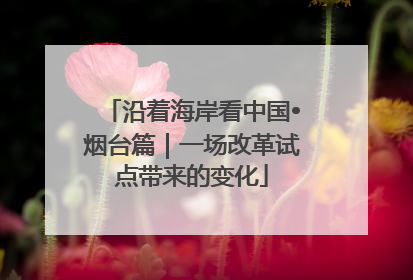 沿着海岸看中国•烟台篇｜一场改革试点带来的变化