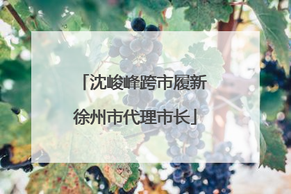 沈峻峰跨市履新徐州市代理市长