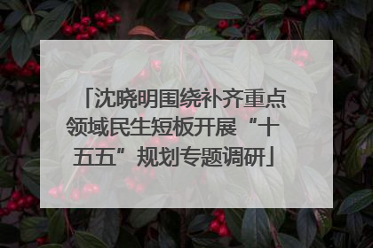 沈晓明围绕补齐重点领域民生短板开展“十五五”规划专题调研