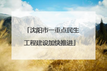 沈阳市一重点民生工程建设加快推进