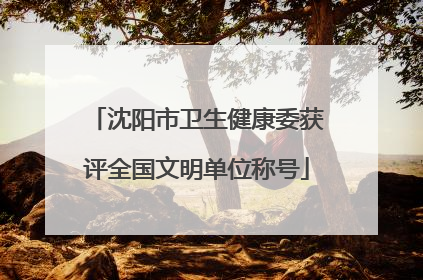 沈阳市卫生健康委获评全国文明单位称号