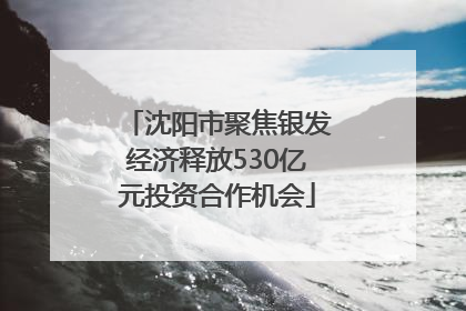 沈阳市聚焦银发经济释放530亿元投资合作机会
