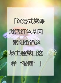 沉浸式党课激活红色基因 紫阳街道这场主题党日这样“破圈”