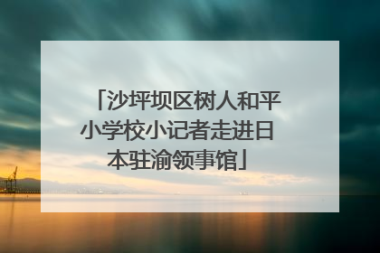 沙坪坝区树人和平小学校小记者走进日本驻渝领事馆