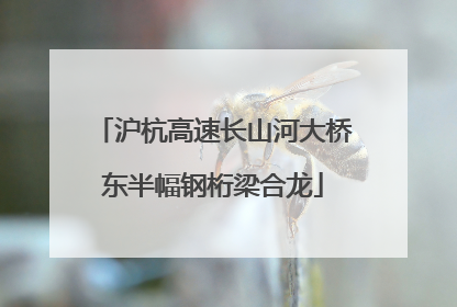 沪杭高速长山河大桥东半幅钢桁梁合龙