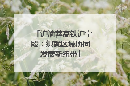 沪渝蓉高铁沪宁段：织就区域协同发展新纽带