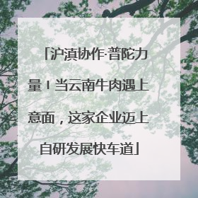 沪滇协作·普陀力量〡当云南牛肉遇上意面，这家企业迈上自研发展快车道