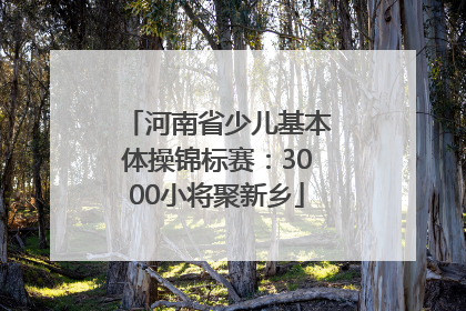 河南省少儿基本体操锦标赛：3000小将聚新乡