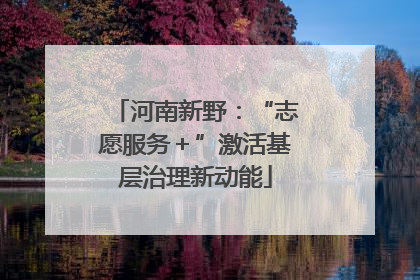河南新野：“志愿服务＋”激活基层治理新动能
