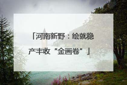 河南新野：绘就稳产丰收“金画卷”