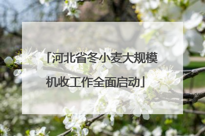 河北省冬小麦大规模机收工作全面启动