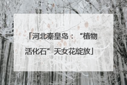 河北秦皇岛：“植物活化石”天女花绽放