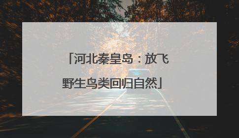 河北秦皇岛：放飞野生鸟类回归自然
