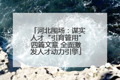 河北围场：谋实人才“引育管用”四篇文章 全面激发人才动力引擎
