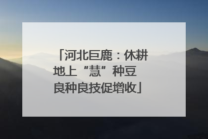 河北巨鹿：休耕地上“慧”种豆 良种良技促增收