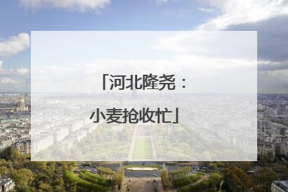 河北隆尧：小麦抢收忙