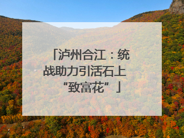 泸州合江：统战助力引活石上“致富花”
