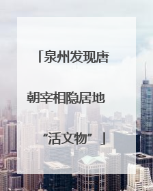 泉州发现唐朝宰相隐居地“活文物”