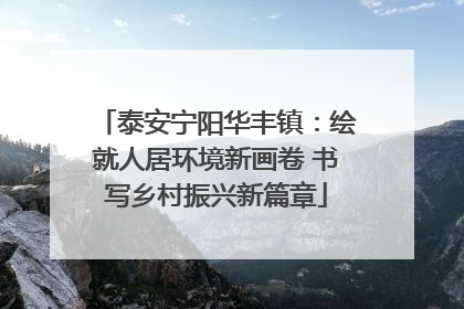 泰安宁阳华丰镇：绘就人居环境新画卷 书写乡村振兴新篇章
