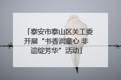 泰安市泰山区关工委开展“书香润童心 非遗绽芳华”活动