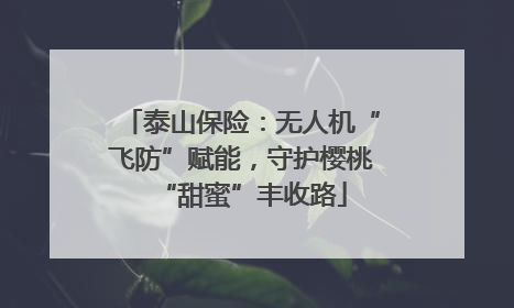 泰山保险：无人机“飞防”赋能，守护樱桃“甜蜜”丰收路