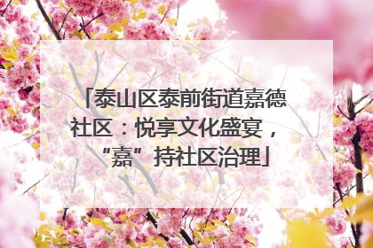 泰山区泰前街道嘉德社区：悦享文化盛宴，“嘉”持社区治理