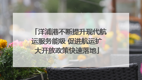 洋浦港不断提升现代航运服务能级 促进航运扩大开放政策快速落地