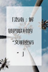 洛南：解锁四联村的“文明密码”