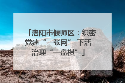 洛阳市偃师区：织密党建“一张网” 下活治理“一盘棋”