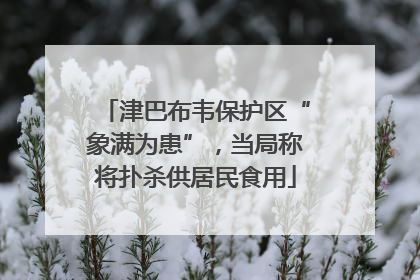 津巴布韦保护区“象满为患”，当局称将扑杀供居民食用