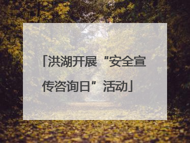 洪湖开展“安全宣传咨询日”活动
