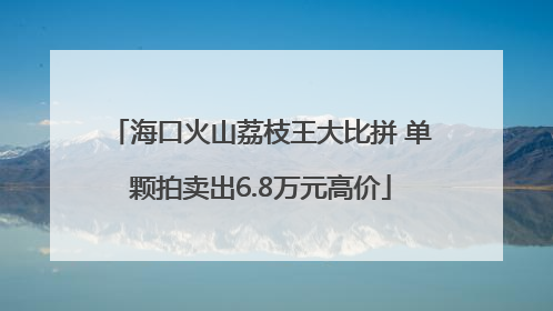 海口火山荔枝王大比拼 单颗拍卖出6.8万元高价