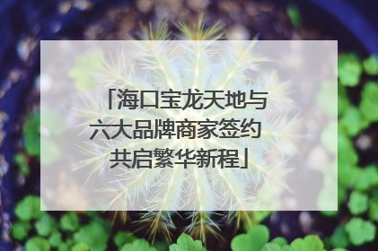 海口宝龙天地与六大品牌商家签约 共启繁华新程