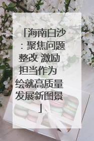 海南白沙：聚焦问题整改 激励担当作为 绘就高质量发展新图景